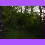Trail - It Is Getting Dark.jpg